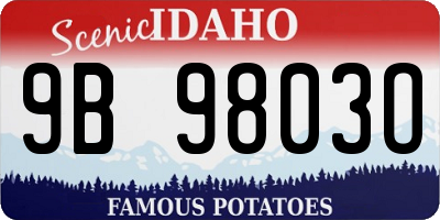 ID license plate 9B9803O