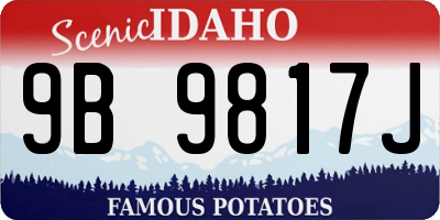 ID license plate 9B9817J