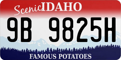 ID license plate 9B9825H