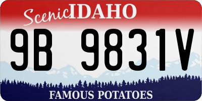ID license plate 9B9831V