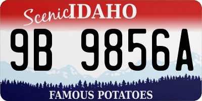 ID license plate 9B9856A