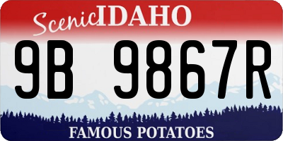 ID license plate 9B9867R