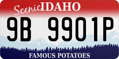 ID license plate 9B9901P