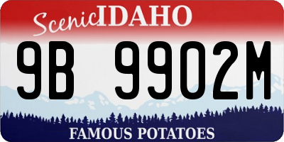 ID license plate 9B9902M