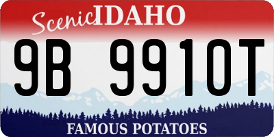 ID license plate 9B9910T