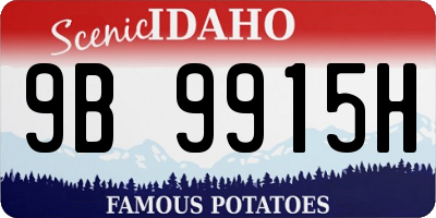 ID license plate 9B9915H