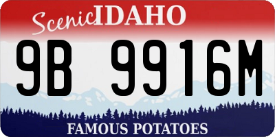 ID license plate 9B9916M