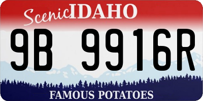 ID license plate 9B9916R