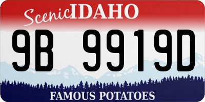 ID license plate 9B9919D