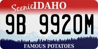 ID license plate 9B9920M