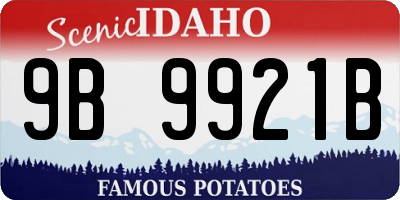 ID license plate 9B9921B