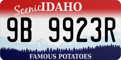 ID license plate 9B9923R