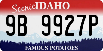 ID license plate 9B9927P