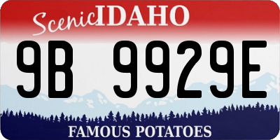 ID license plate 9B9929E