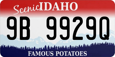 ID license plate 9B9929Q