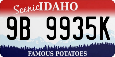 ID license plate 9B9935K