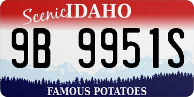 ID license plate 9B9951S