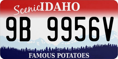 ID license plate 9B9956V