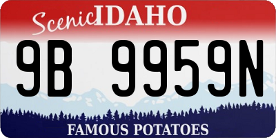 ID license plate 9B9959N