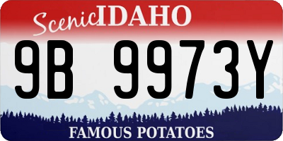 ID license plate 9B9973Y