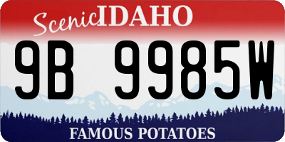 ID license plate 9B9985W