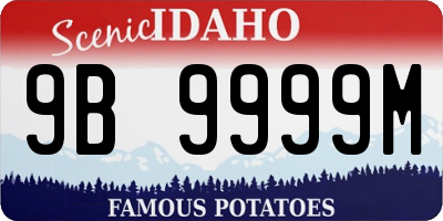ID license plate 9B9999M