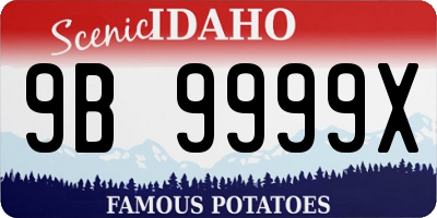 ID license plate 9B9999X