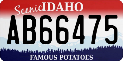 ID license plate AB66475