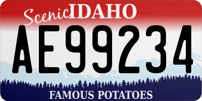 ID license plate AE99234