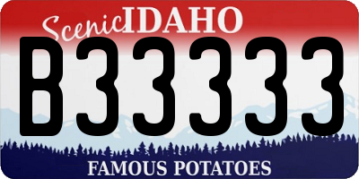 ID license plate B33333