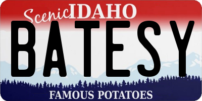 ID license plate BATESY