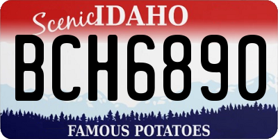 ID license plate BCH6890