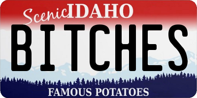 ID license plate BITCHES