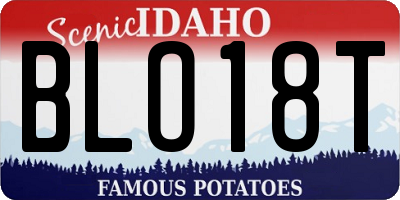 ID license plate BLO18T