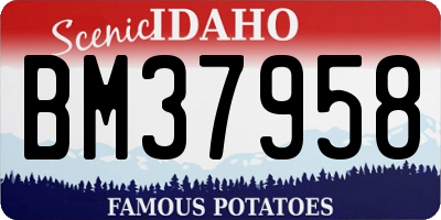 ID license plate BM37958