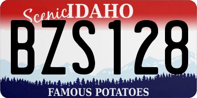 ID license plate BZS128