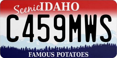 ID license plate C459MWS