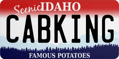 ID license plate CABKING