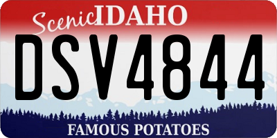 ID license plate DSV4844