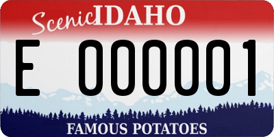 ID license plate E000001