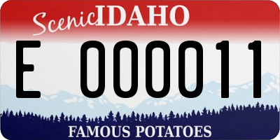 ID license plate E000011