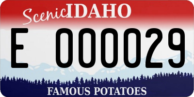 ID license plate E000029