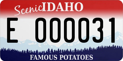 ID license plate E000031