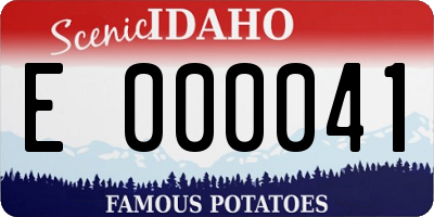 ID license plate E000041