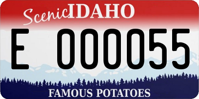 ID license plate E000055