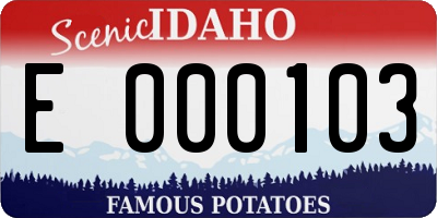 ID license plate E000103