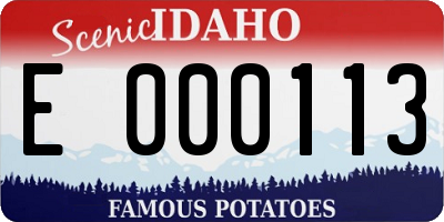 ID license plate E000113