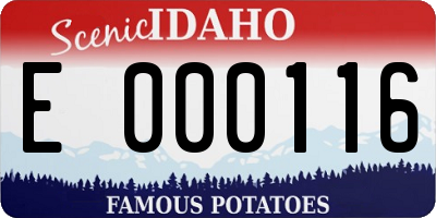 ID license plate E000116