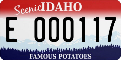 ID license plate E000117