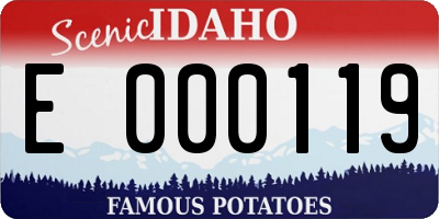 ID license plate E000119